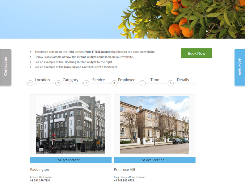 File:SimplyBook Widgets example.png